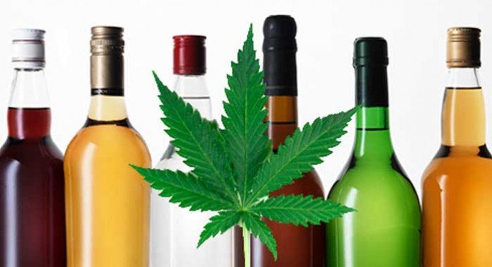Lee más sobre el artículo Alcohol y marihuana, peligrosa combinación