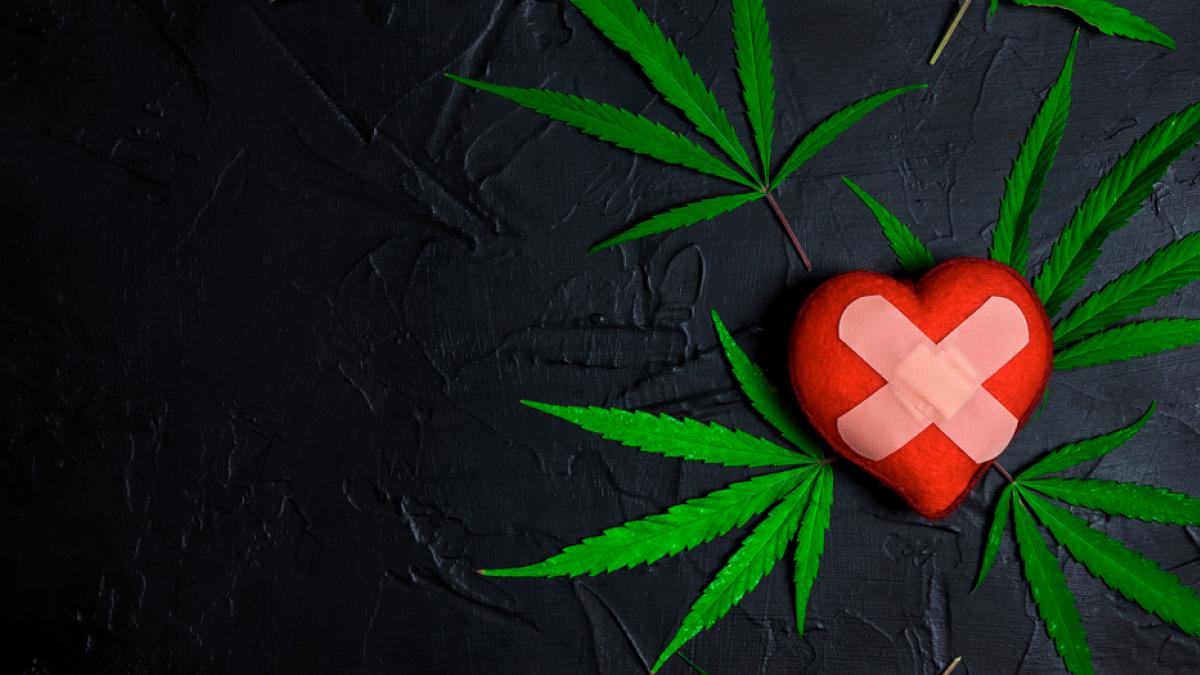 En este momento estás viendo Relacionan el consumo frecuente de marihuana con enfermedades cardíacas